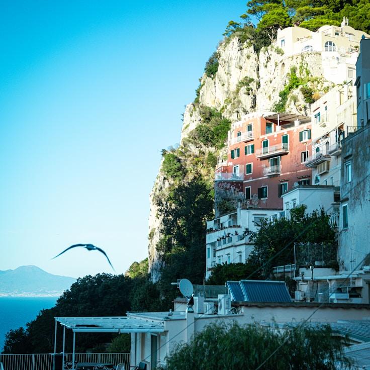 Outdoor terrace seating suitable for families in Madison